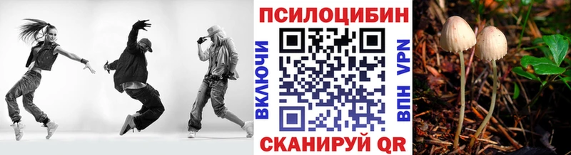 Псилоцибиновые грибы Psilocybe Краснокамск