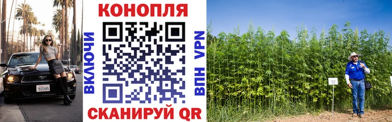 Купить закладки  Краснокамск  МАРИХУАНА сатива 